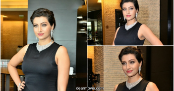 Hamsa Nandini Images