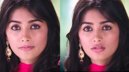 Latest Actress Pooja Hegde Images