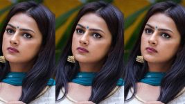 Actress Shraddha Srinath Photos