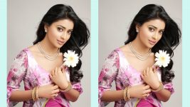 Actress Shriya Saran Bhatnagar Images | Actress Shriya Saran Photos