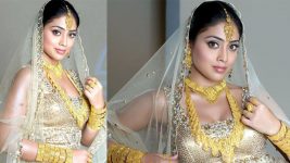 Actress Shriya Saran Bhatnagar Images | Actress Shriya Saran Photos